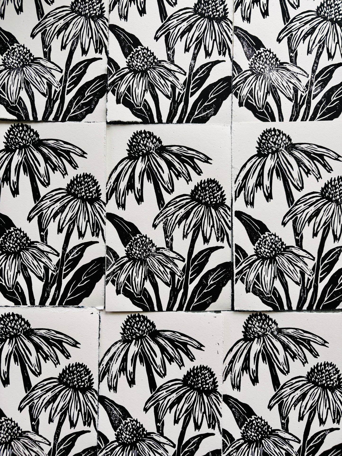 Coneflower print