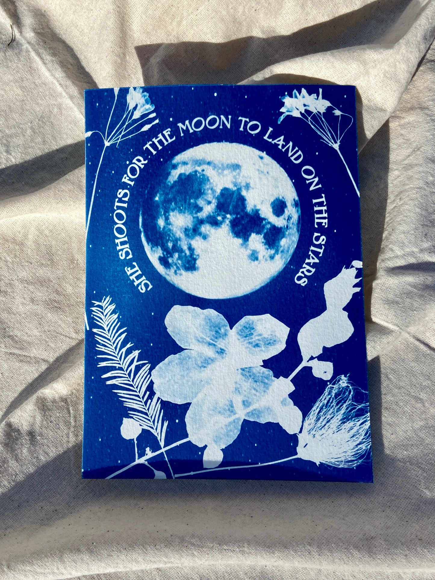 shoot for the moon