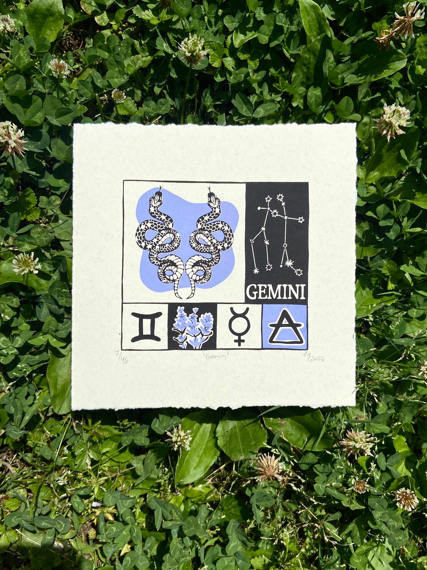 Gemini print
