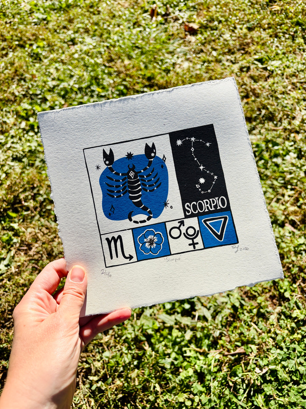 Scorpio print