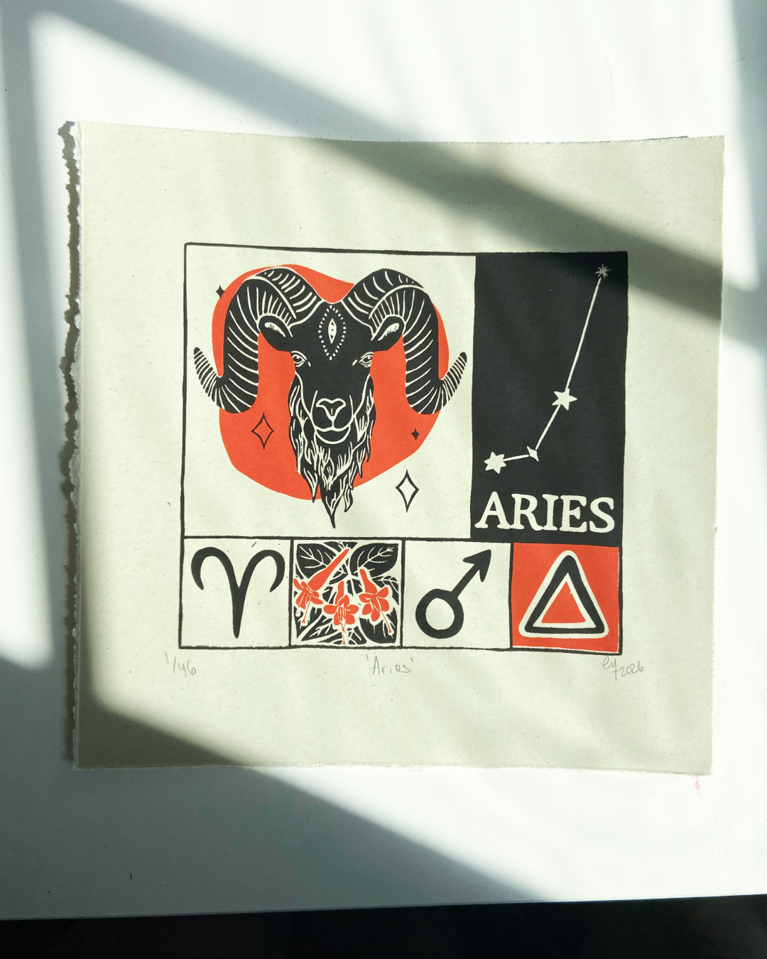 Aries print