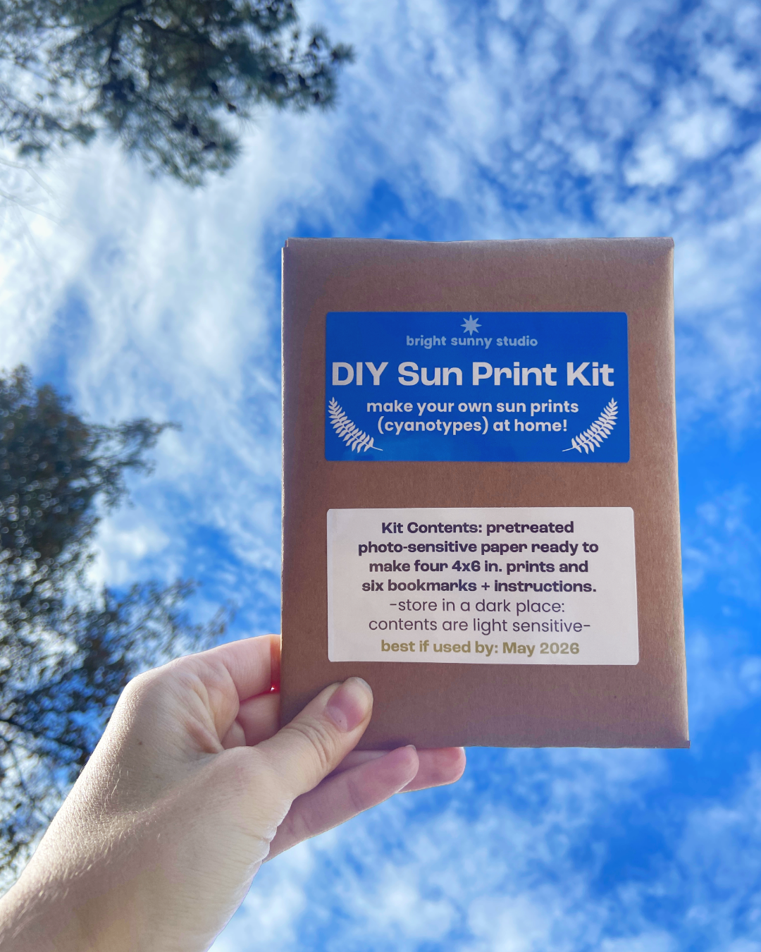 DIY Sun Print Kit
