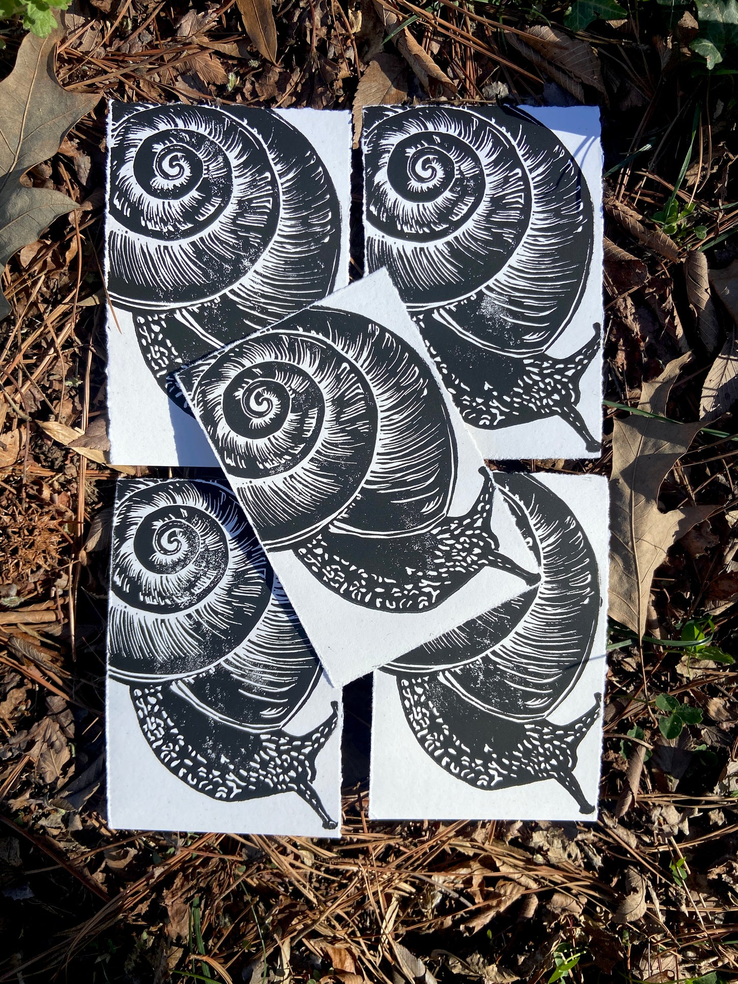 Snail print