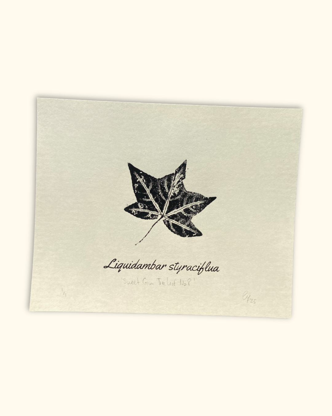 our neighboring trees series No. 1