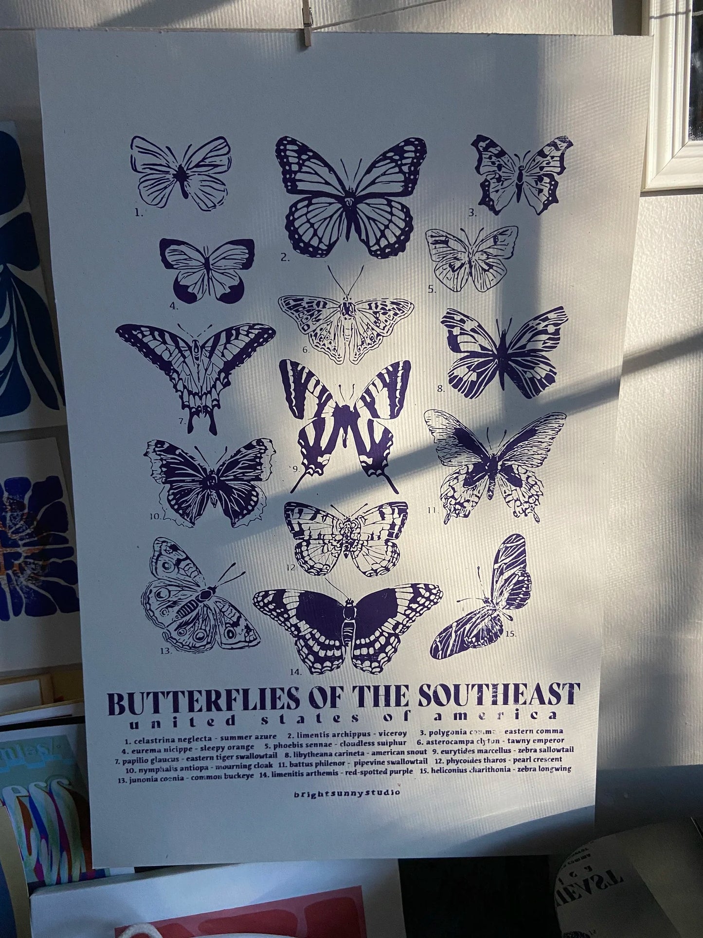 Butterflies of the Southeast No. 1