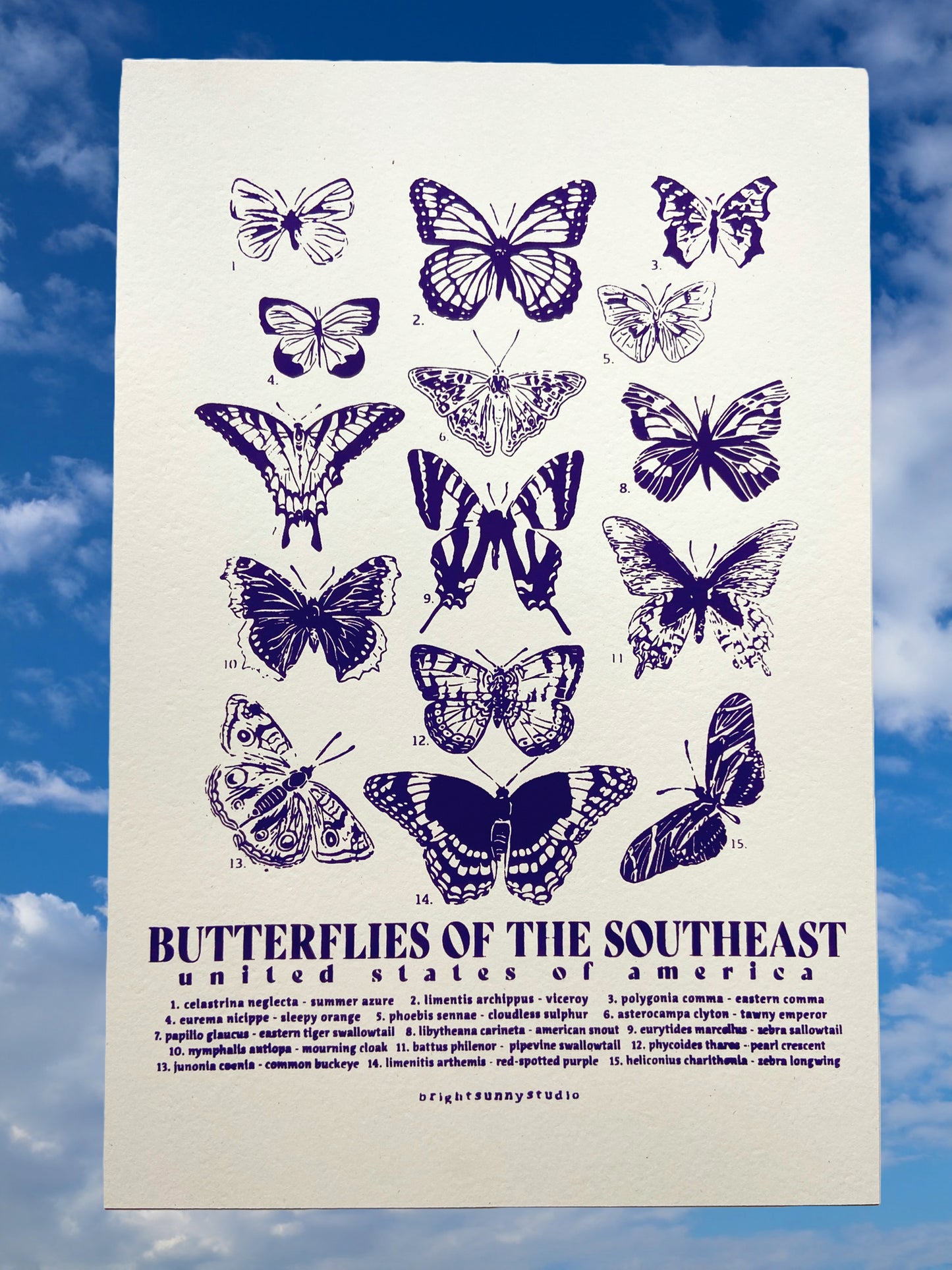 Butterflies of the Southeast No. 1