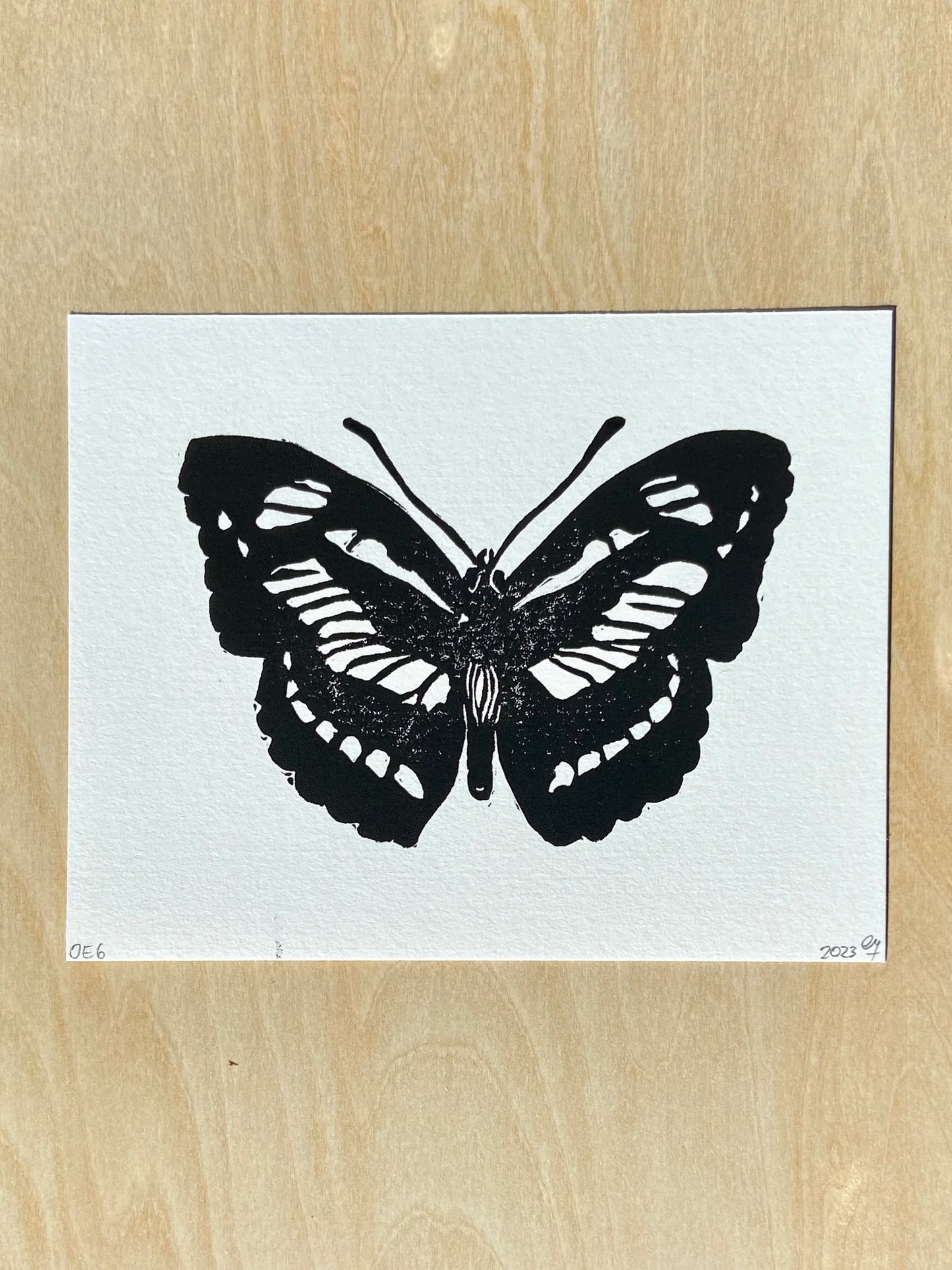 butterfly no. 2