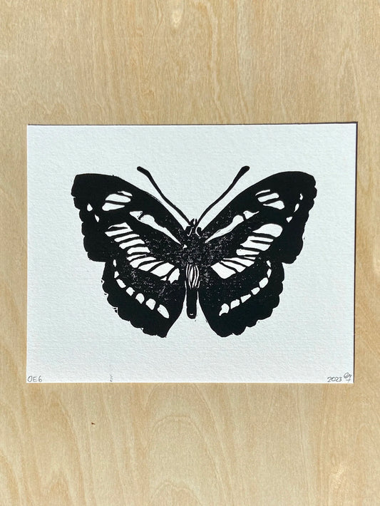 butterfly no. 2
