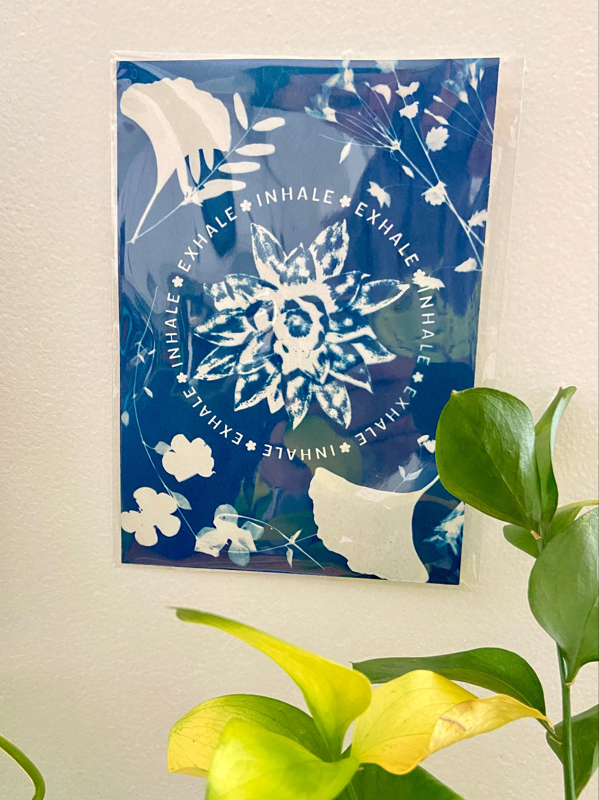 Blue cyanotype print with white floral design and text on a light beige wall with green plants.