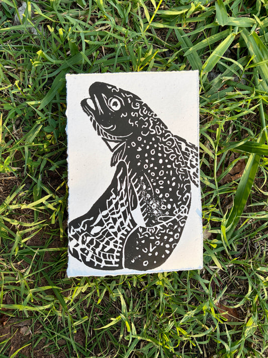 Brook trout print