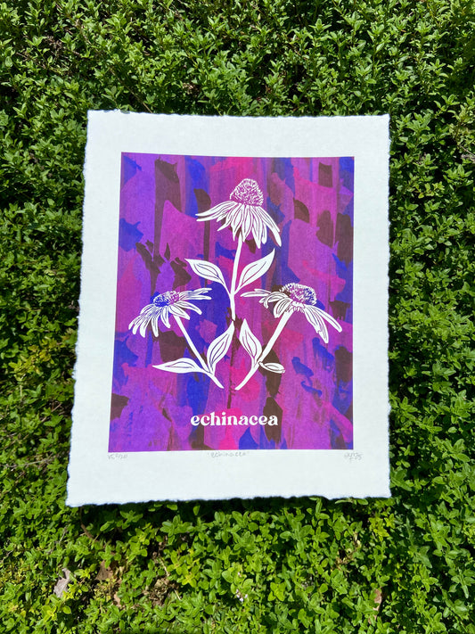 echinacea
