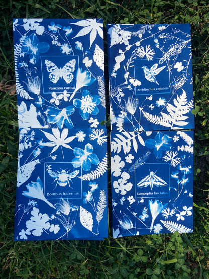 protecting pollinators series No. 1