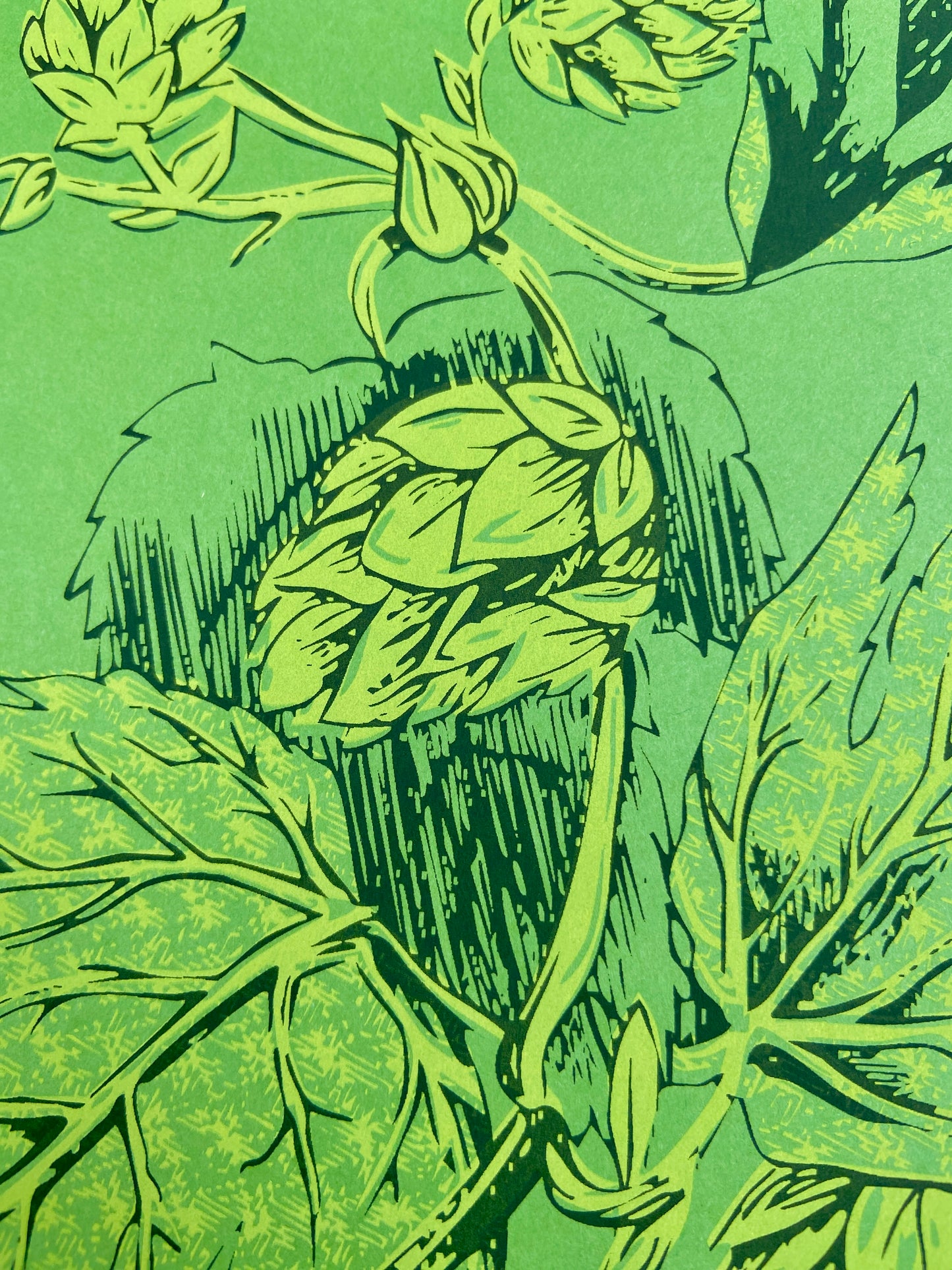 The Hop Plant No.2