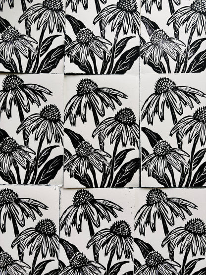 Coneflower print