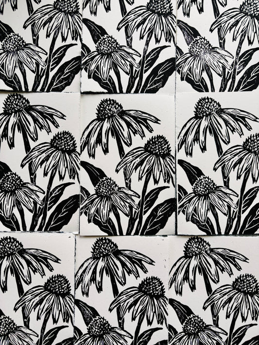Coneflower print