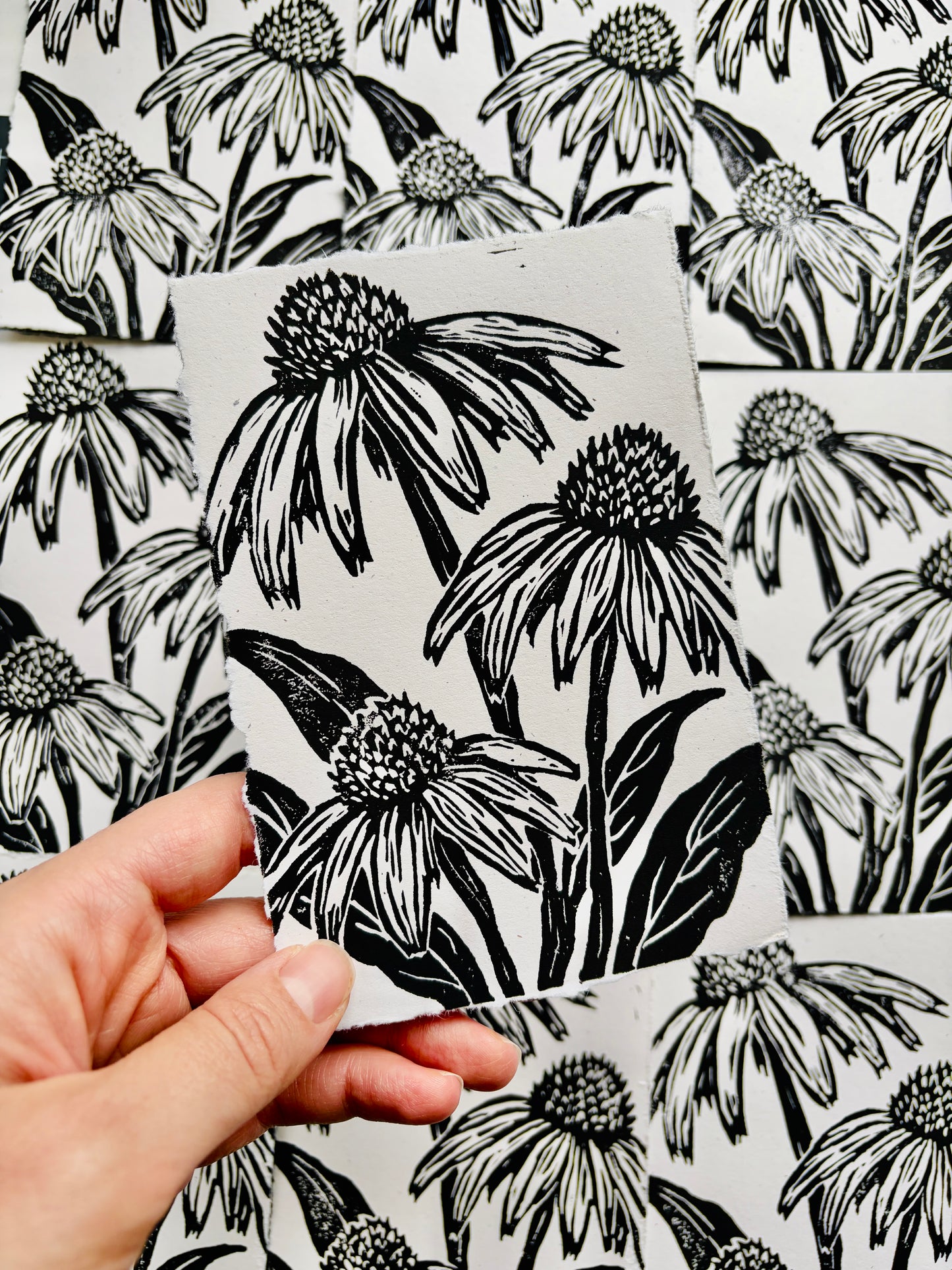 Coneflower print