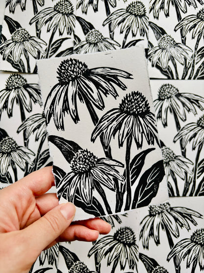 Coneflower print
