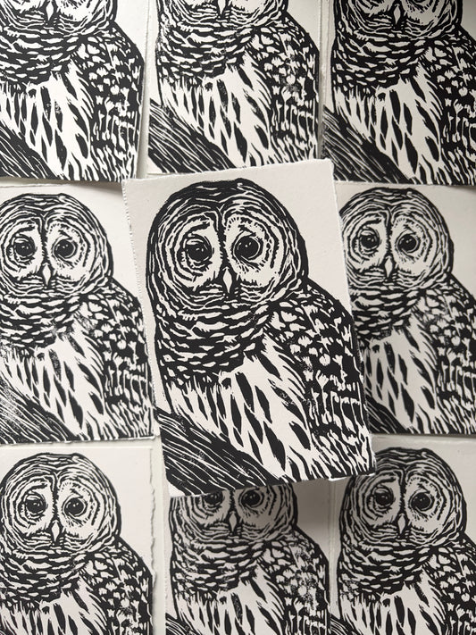 Owl print