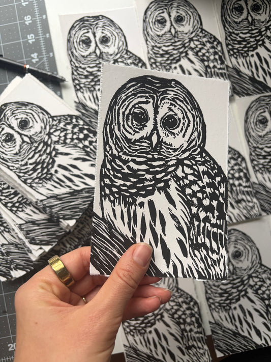 Owl print