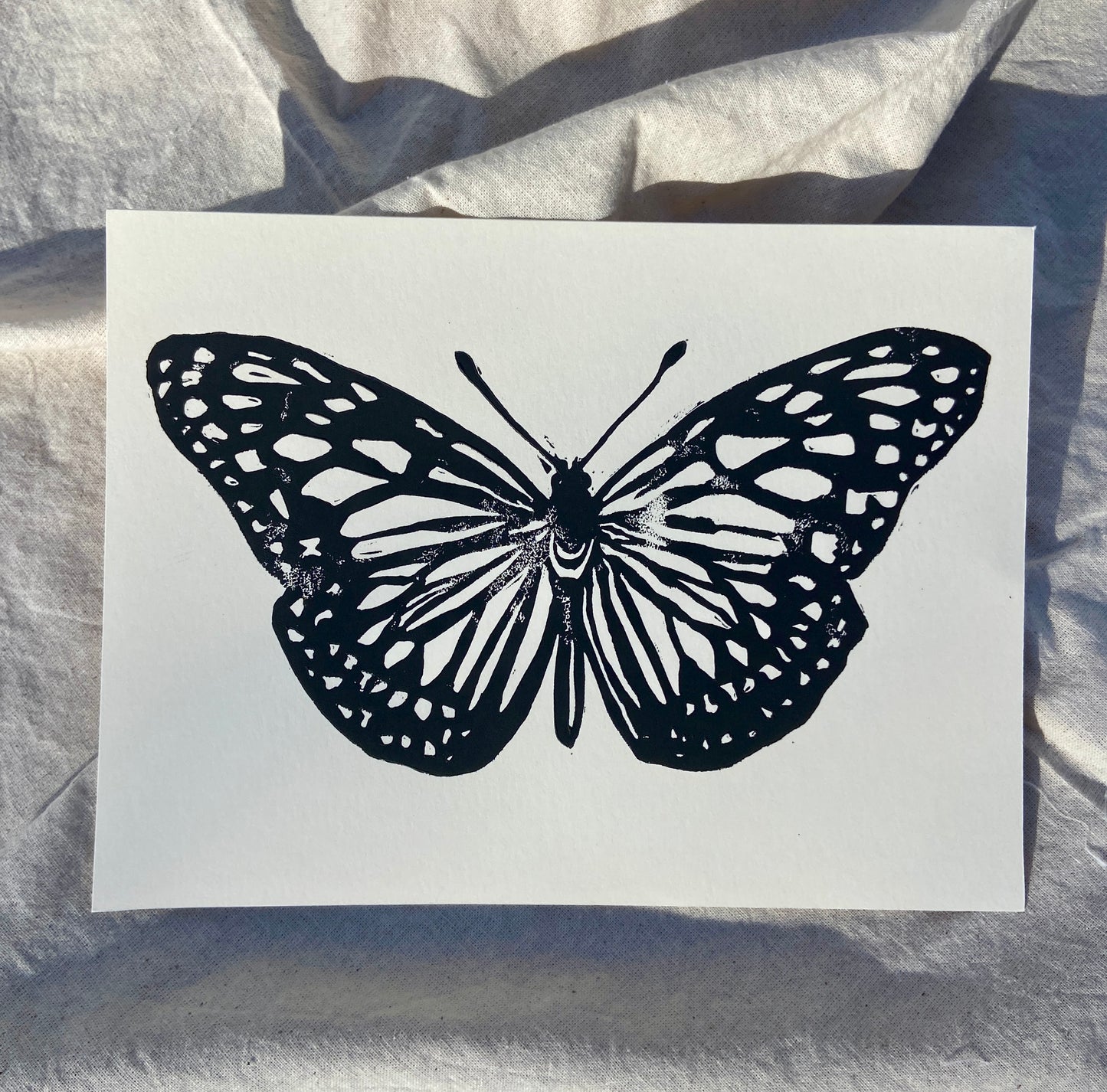 butterfly no. 4