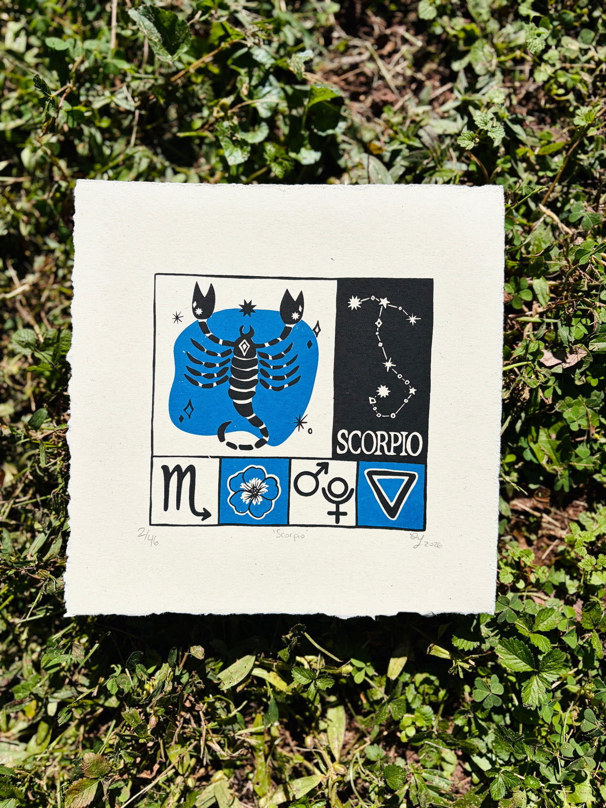 Scorpio print