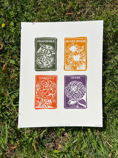 seeds for a brilliant harvest