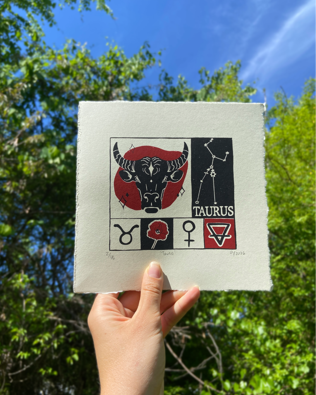 Taurus print