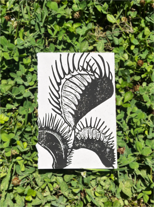 Venus flytrap print