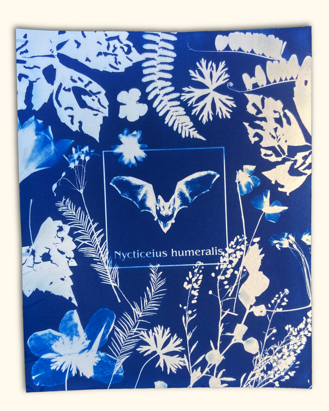 protecting pollinators series No. 1