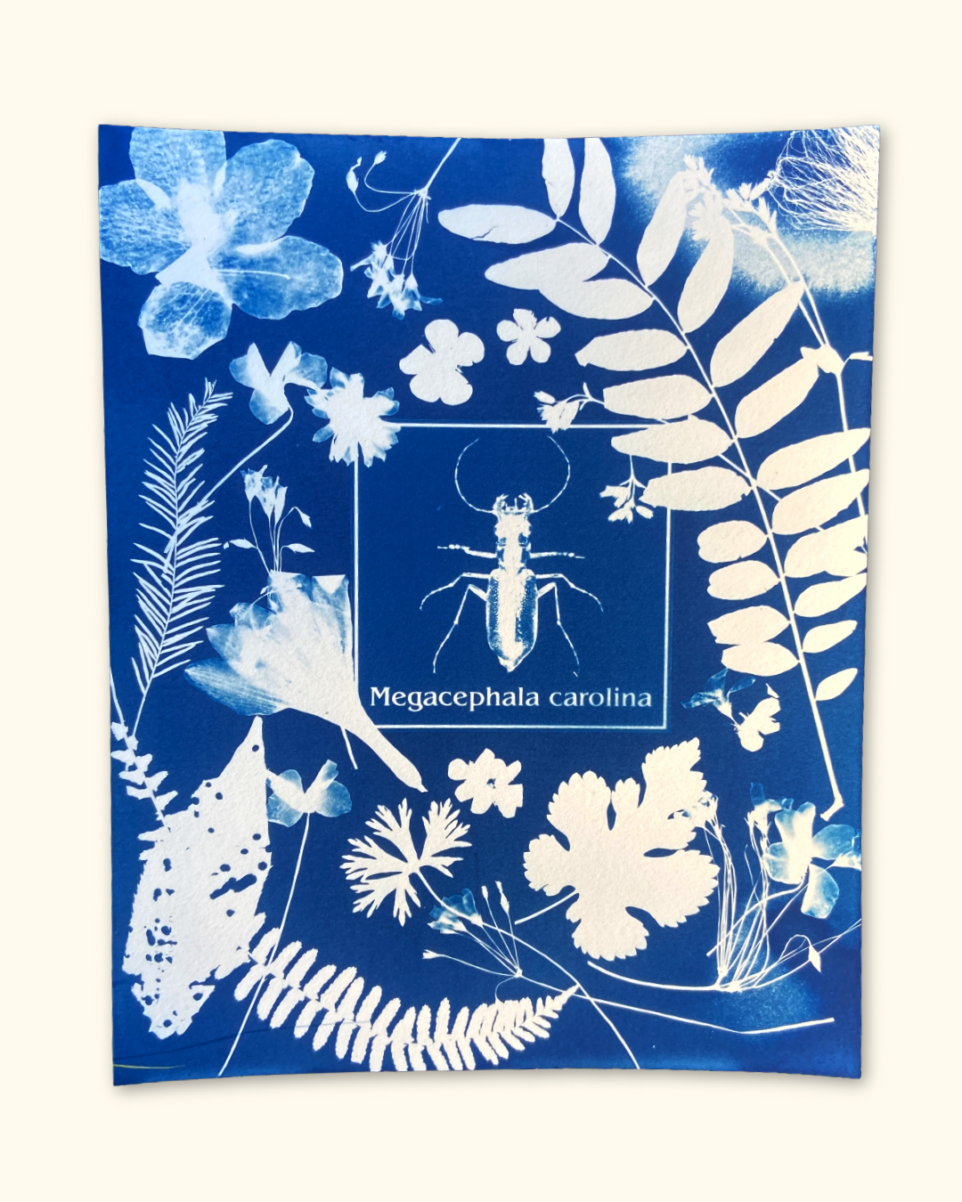 protecting pollinators series No. 1