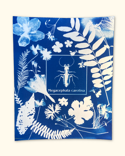 protecting pollinators series No. 1