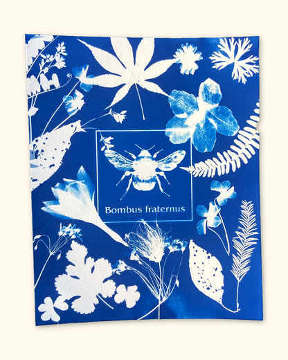 protecting pollinators series No. 1