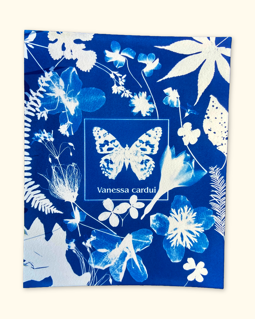 protecting pollinators series No. 1