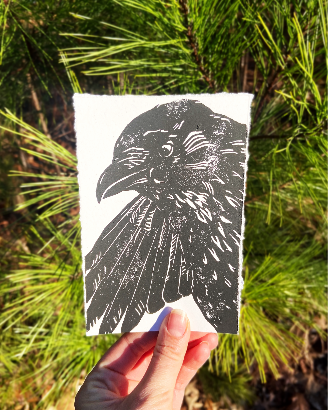Crow print