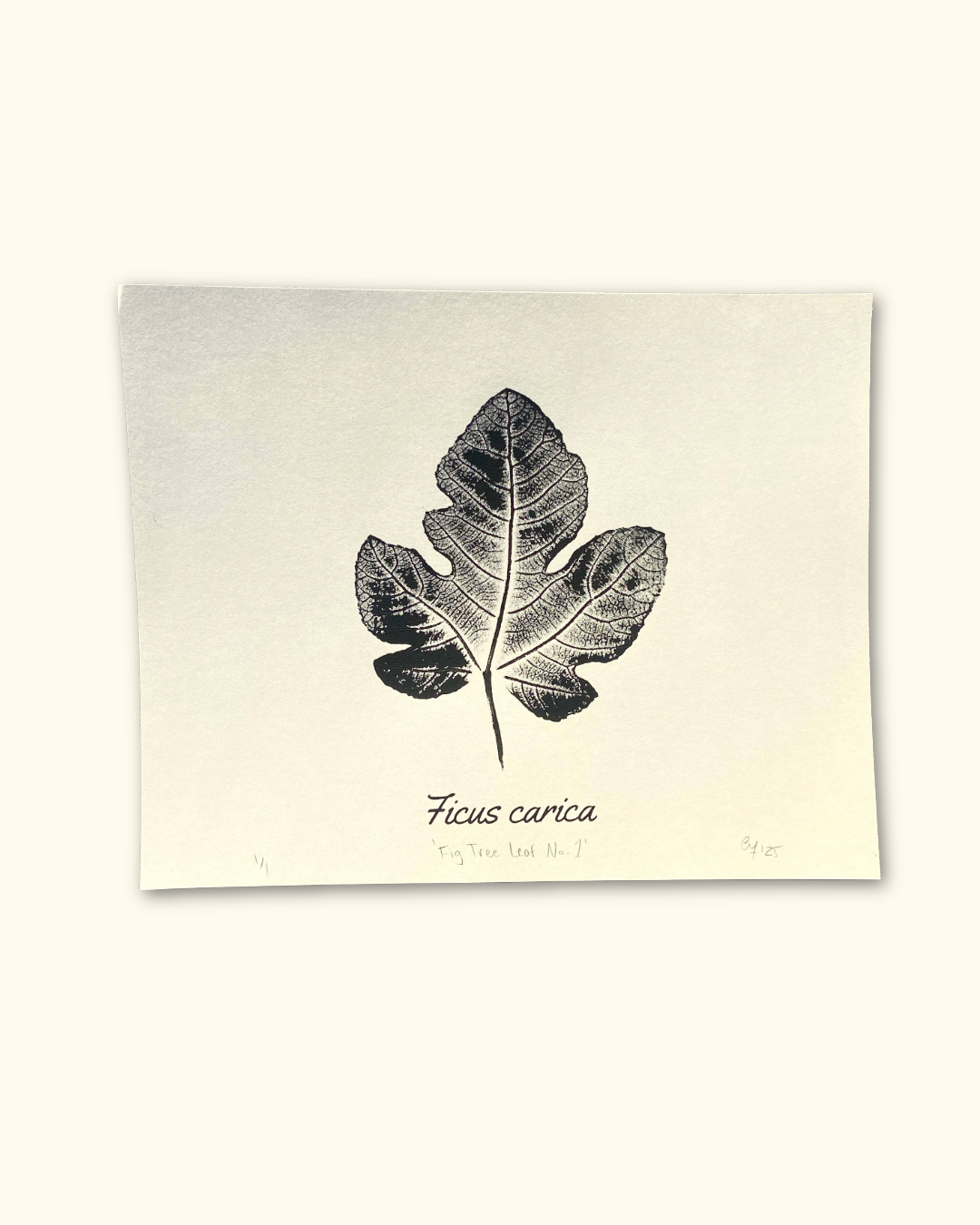 our neighboring trees series No. 1