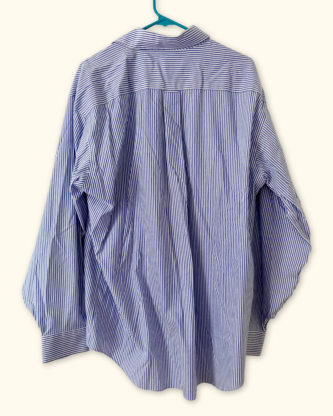 rainbow trout blue striped button down