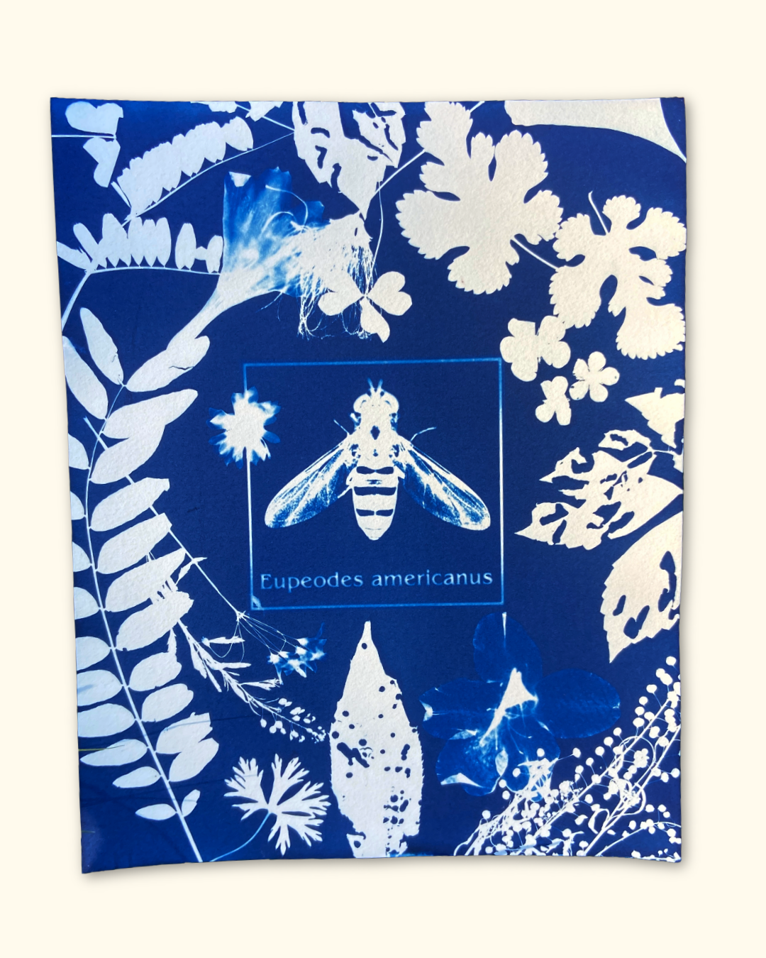 protecting pollinators series No. 1