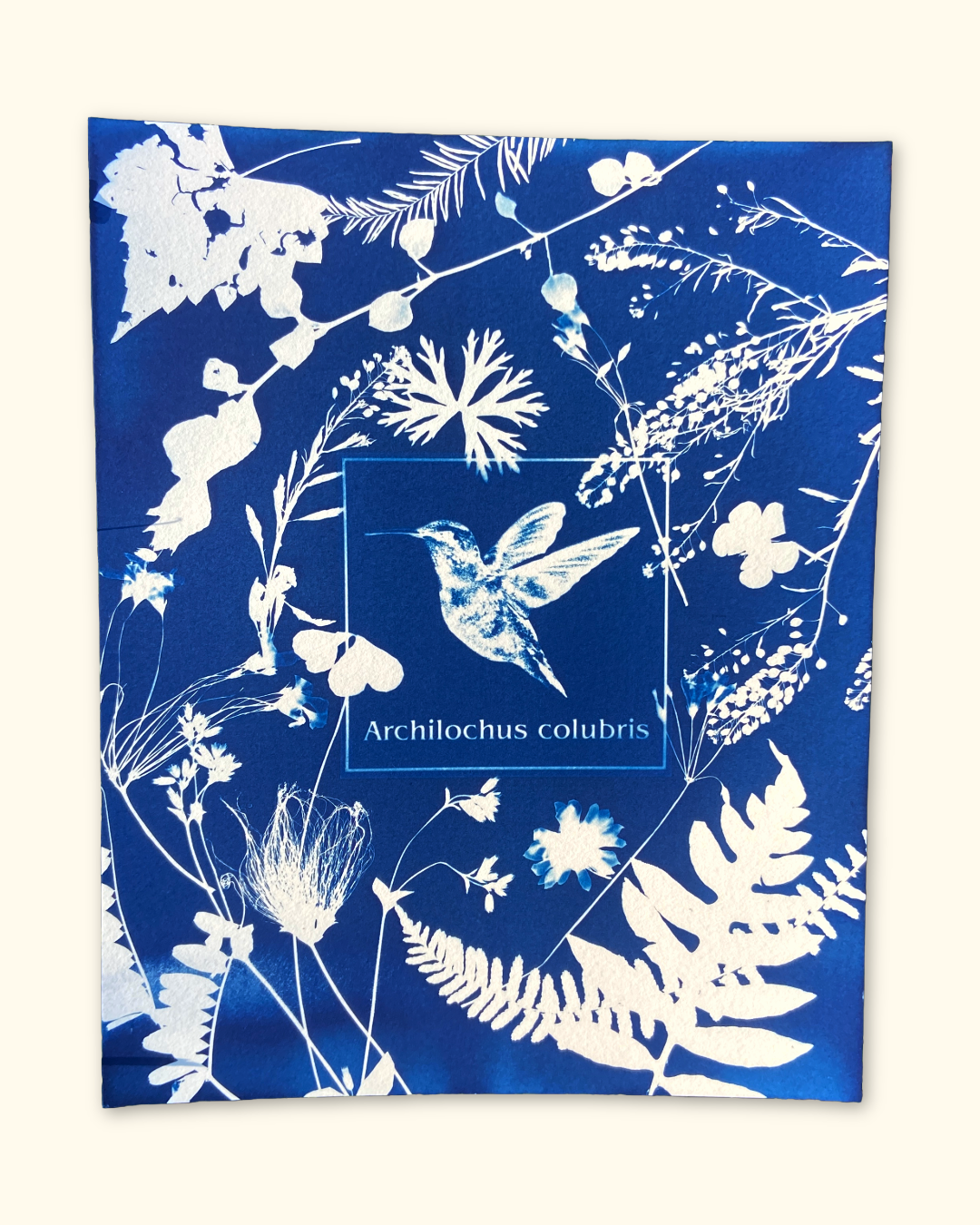 protecting pollinators series No. 1