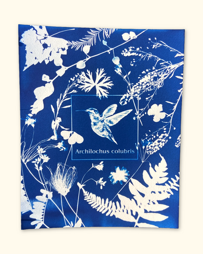 protecting pollinators series No. 1