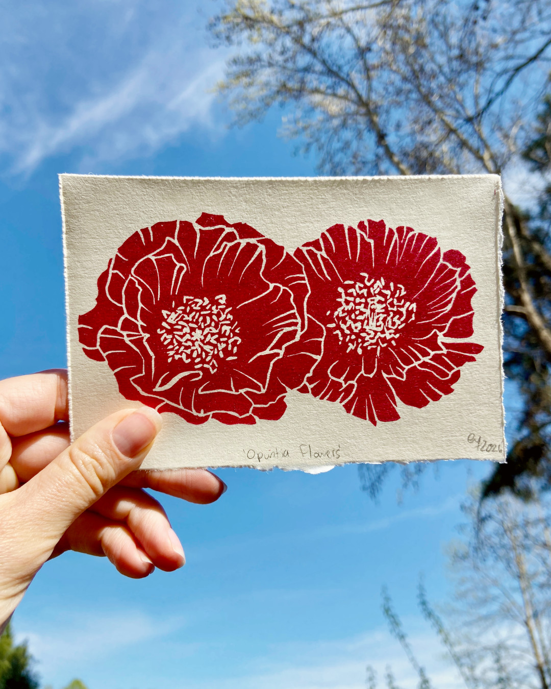 Opuntia Flowers print
