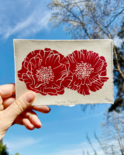 Opuntia Flowers print