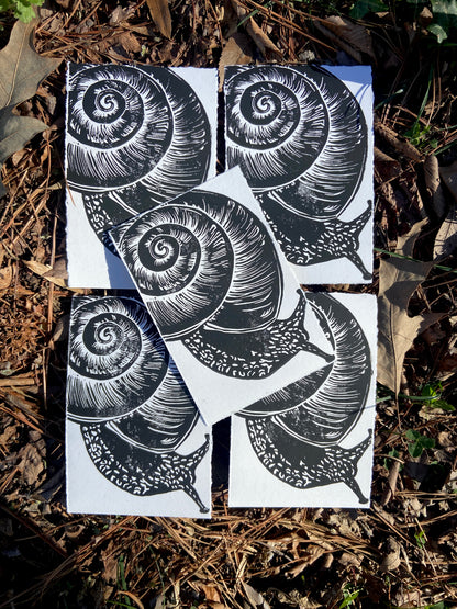 Snail print