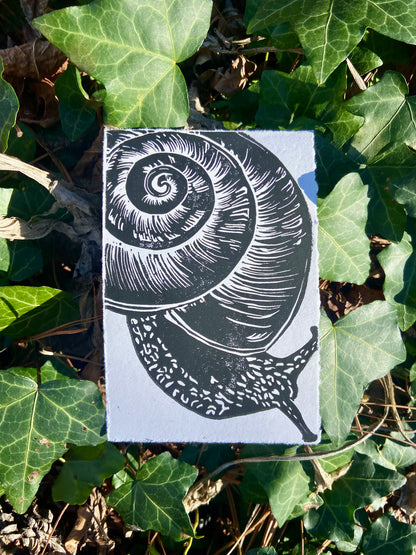 Snail print