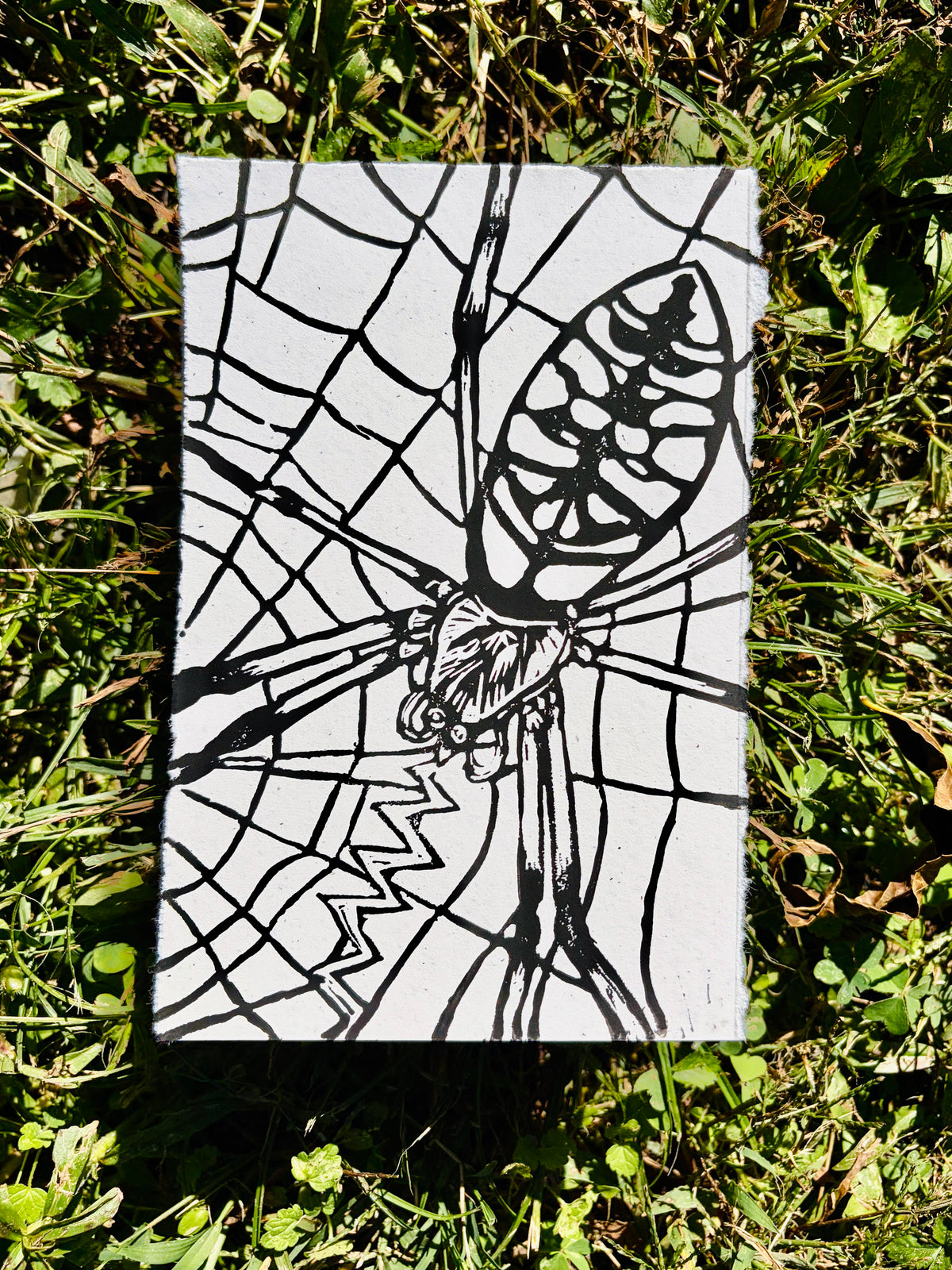 Spider print