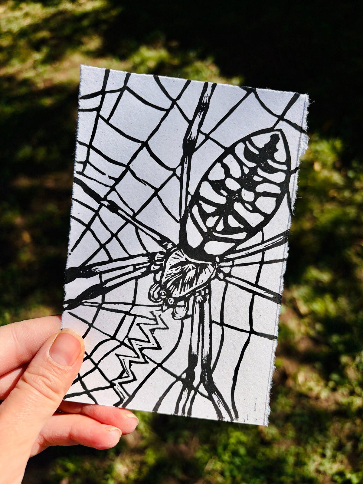 Spider print