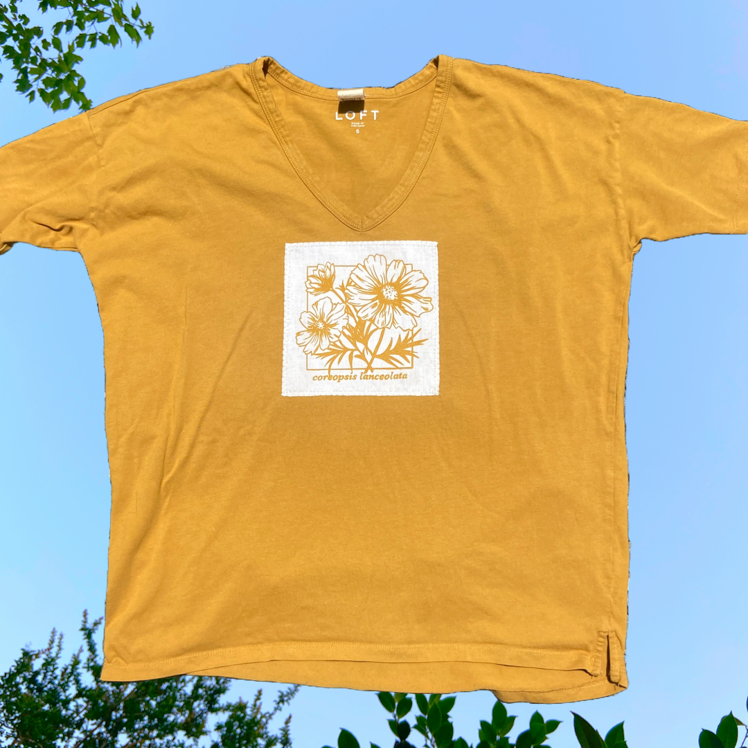 coreopsis golden tee: '25 summer drop