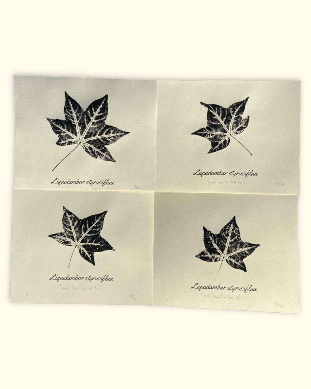 our neighboring trees series No. 1