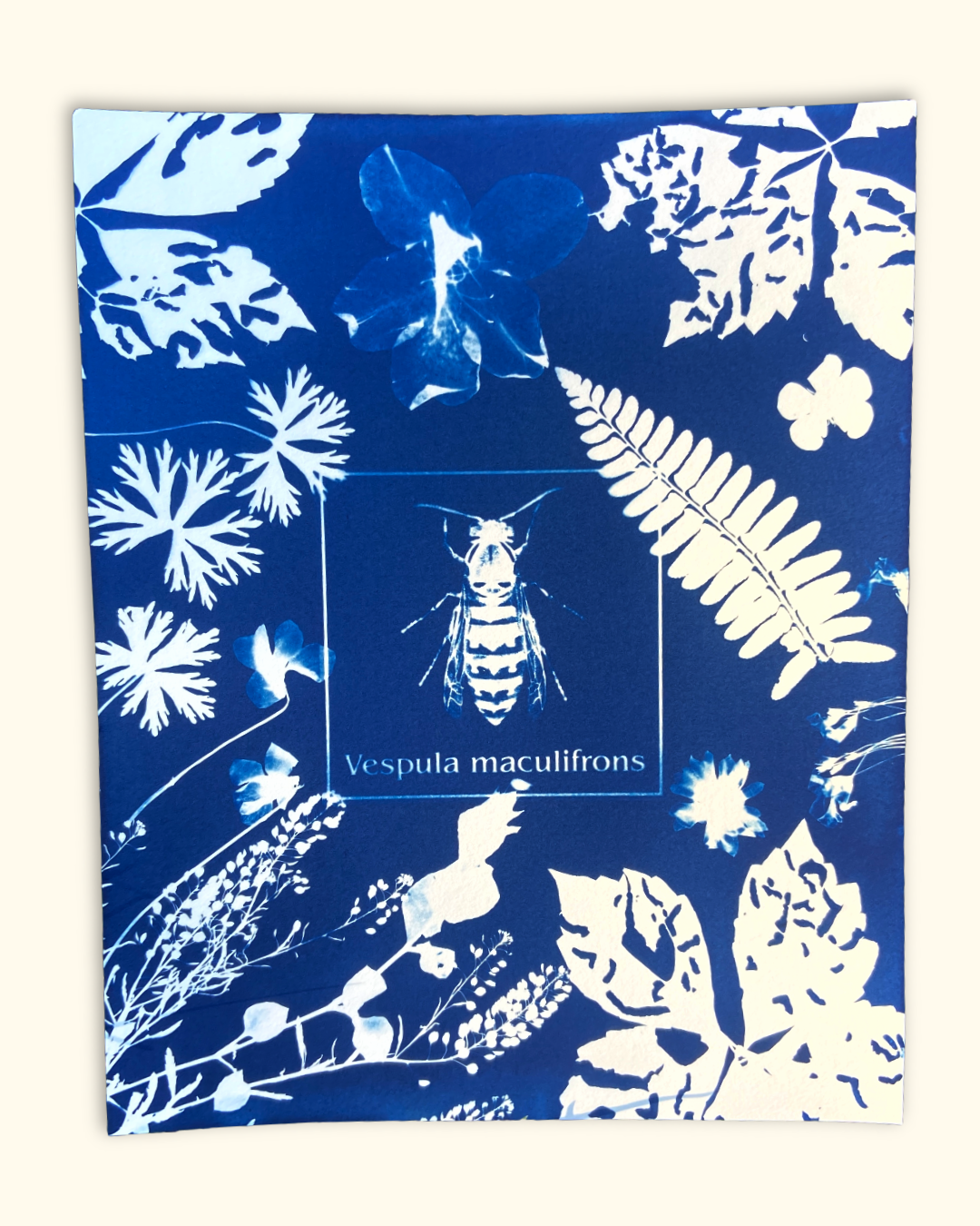 protecting pollinators series No. 1