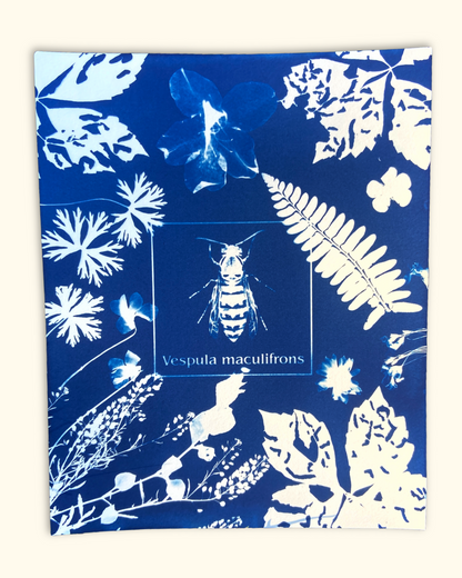 protecting pollinators series No. 1